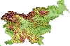 slov.gif (5202 Byte)