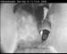 cam3_meise01