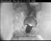cam3_meise02