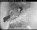 cam3_meise03
