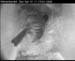 cam3_meise04