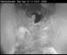 cam3_meise05