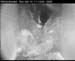 cam3_meise06