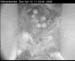 cam3_meise08