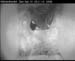 cam3_meise09