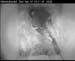 cam3_meise11