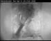 cam3_meise12