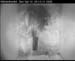 cam3_meise13